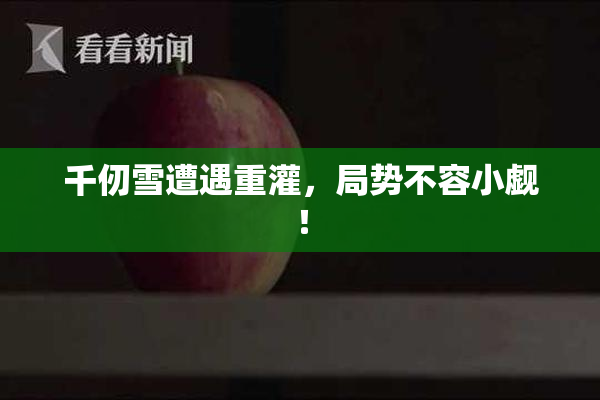 千仞雪遭遇重灌，局势不容小觑！