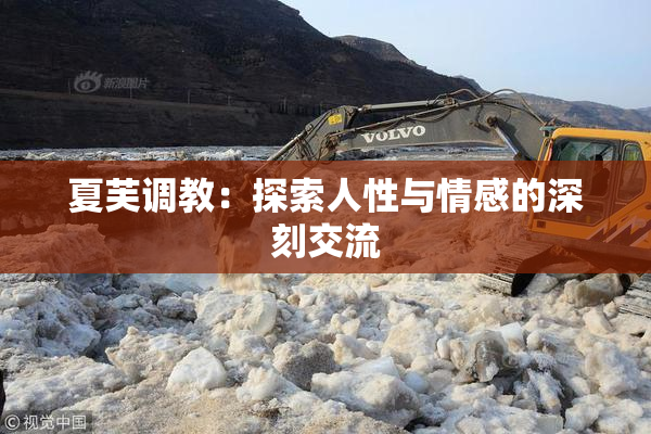 夏芙调教：探索人性与情感的深刻交流