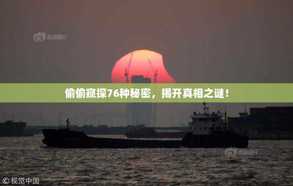 偷偷窥探76种秘密，揭开真相之谜！