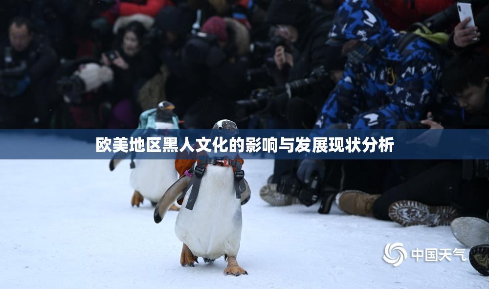 欧美地区黑人文化的影响与发展现状分析