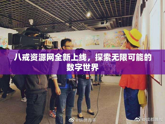 八戒资源网全新上线，探索无限可能的数字世界