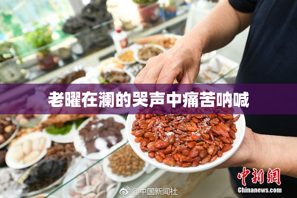 老曜在澜的哭声中痛苦呐喊