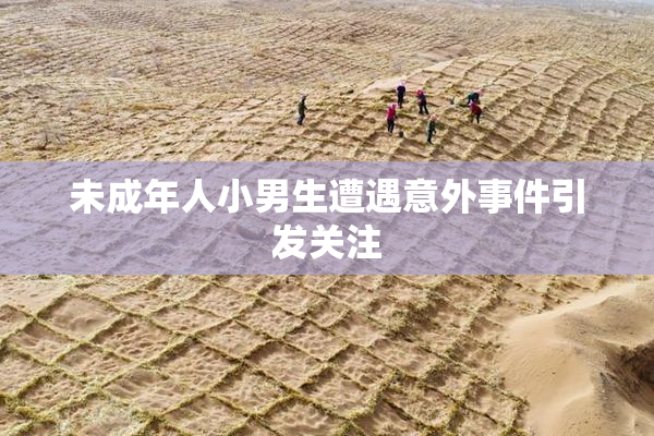 未成年人小男生遭遇意外事件引发关注