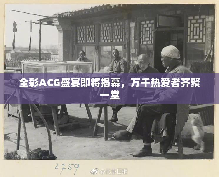 全彩ACG盛宴即将揭幕，万千热爱者齐聚一堂