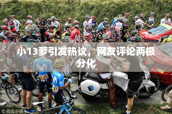 小13萝引发热议，网友评论两极分化