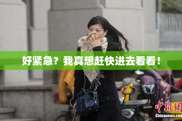 好紧急？我真想赶快进去看看！