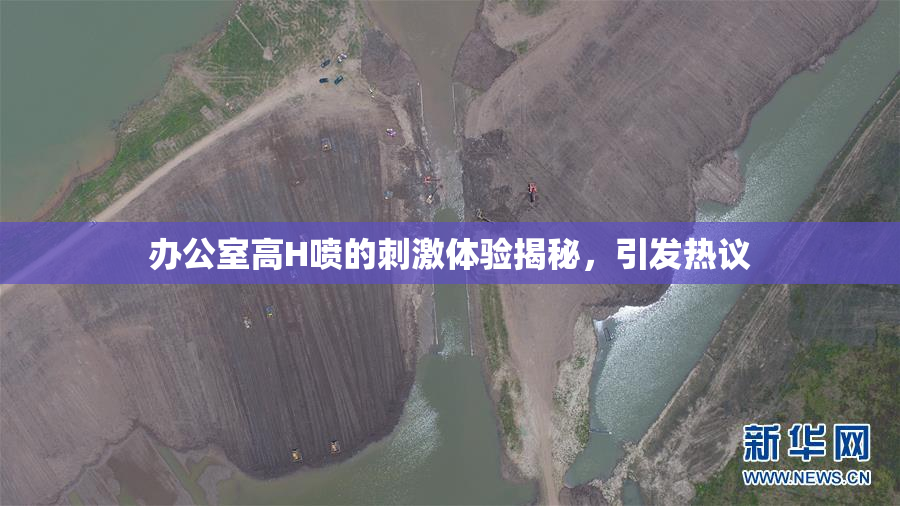办公室高H喷的刺激体验揭秘，引发热议