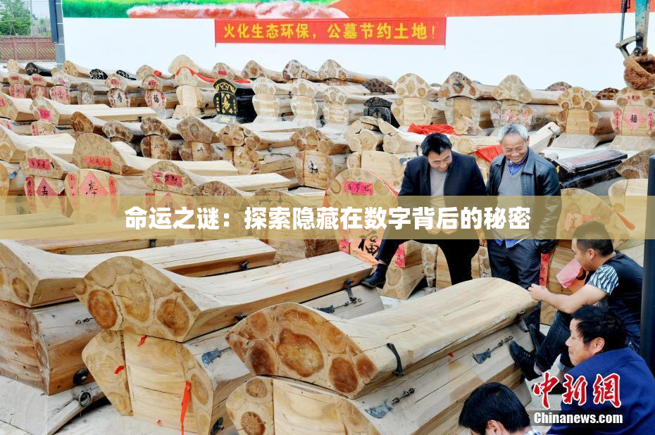 命运之谜：探索隐藏在数字背后的秘密