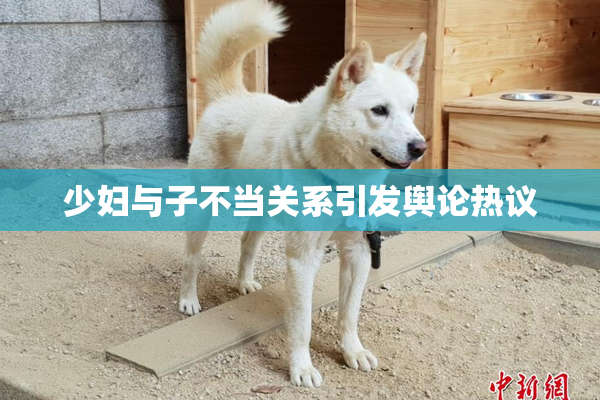 少妇与子不当关系引发舆论热议