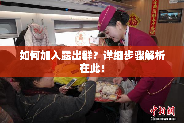 如何加入露出群？详细步骤解析在此！
