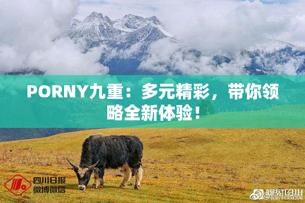 PORNY九重：多元精彩，带你领略全新体验！