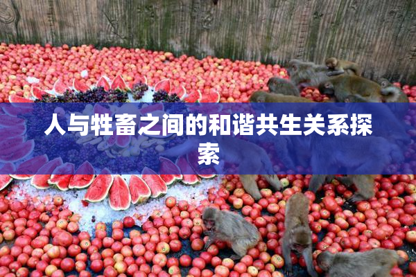 人与牲畜之间的和谐共生关系探索