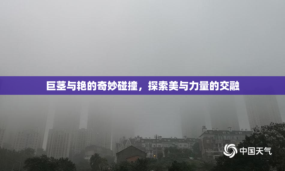 巨茎与艳的奇妙碰撞，探索美与力量的交融