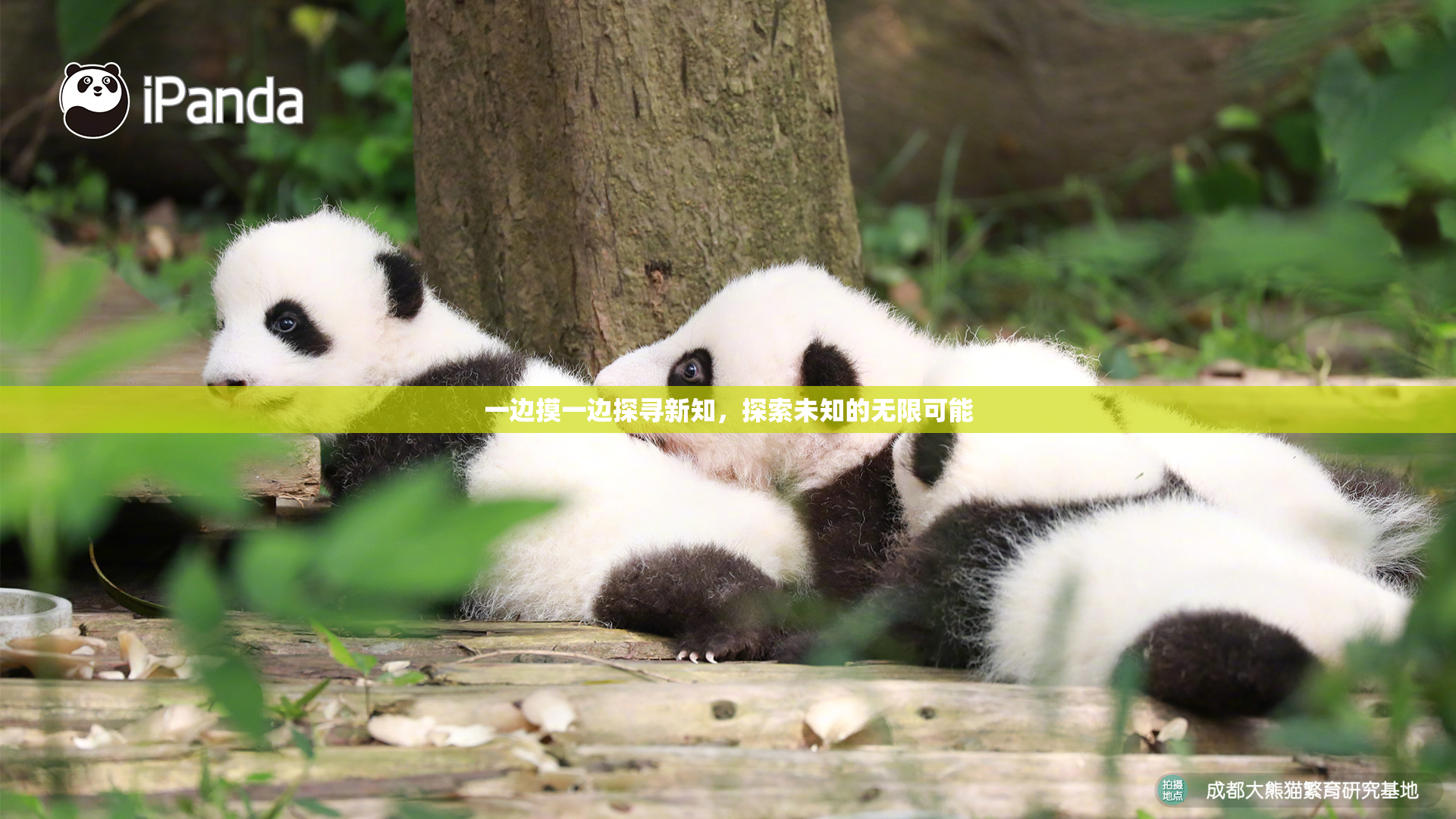 一边摸一边探寻新知，探索未知的无限可能