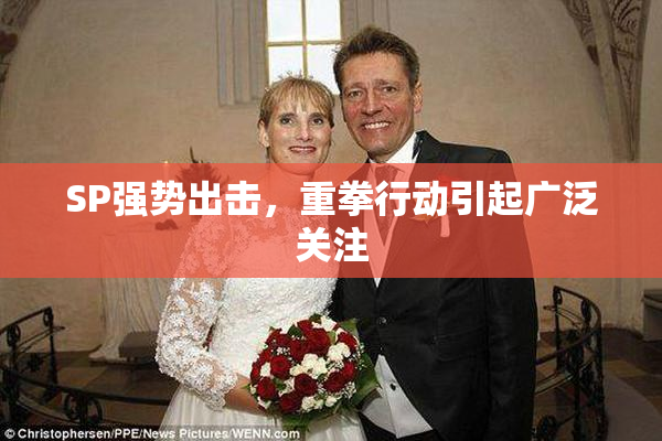 SP强势出击，重拳行动引起广泛关注