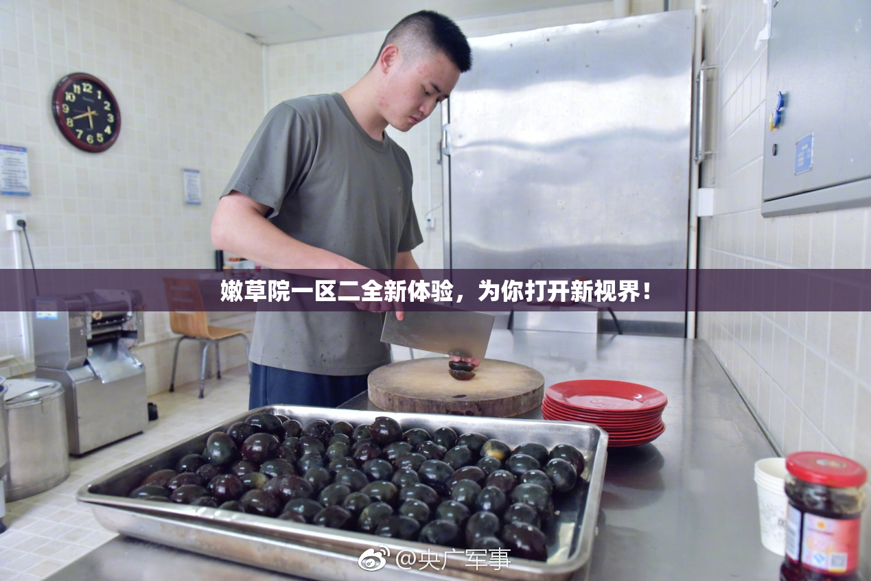 嫩草院一区二全新体验，为你打开新视界！