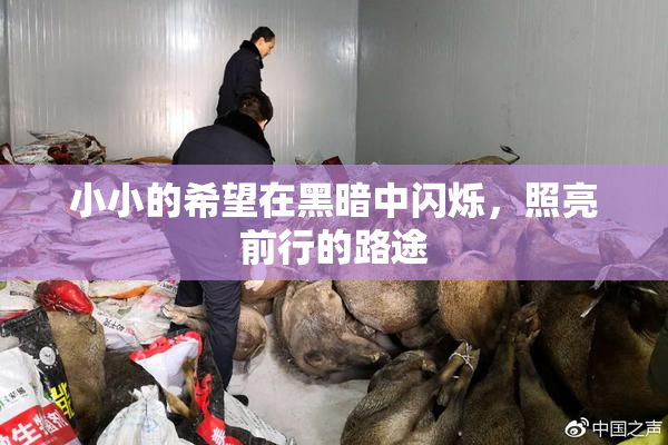 小小的希望在黑暗中闪烁，照亮前行的路途