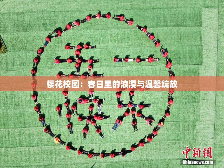 樱花校园：春日里的浪漫与温馨绽放
