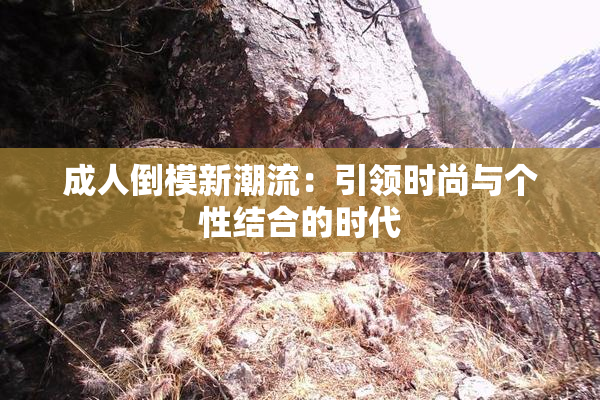 成人倒模新潮流：引领时尚与个性结合的时代