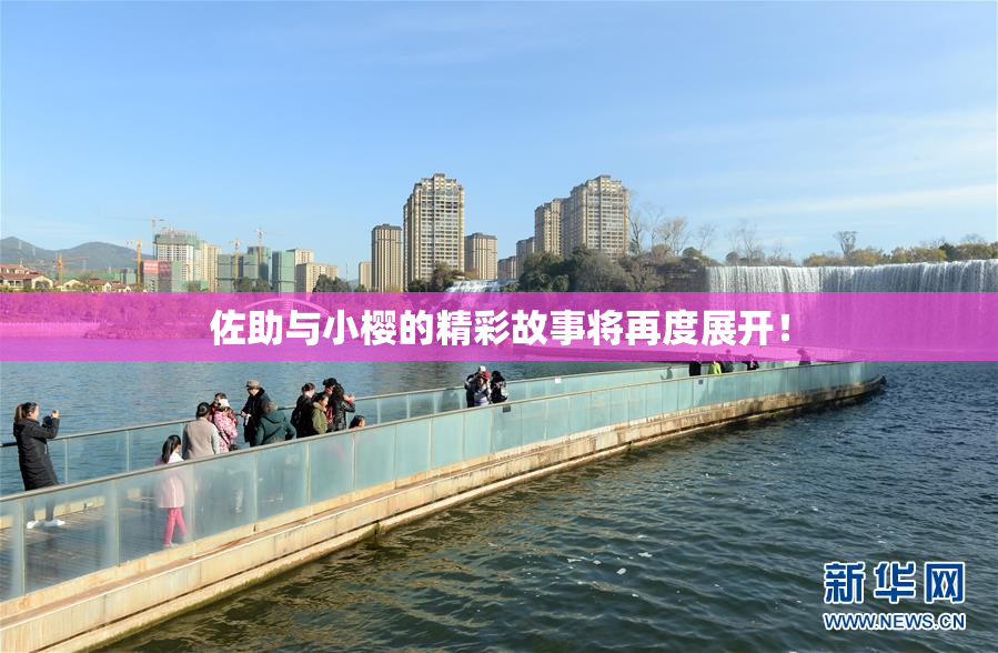 佐助与小樱的精彩故事将再度展开！