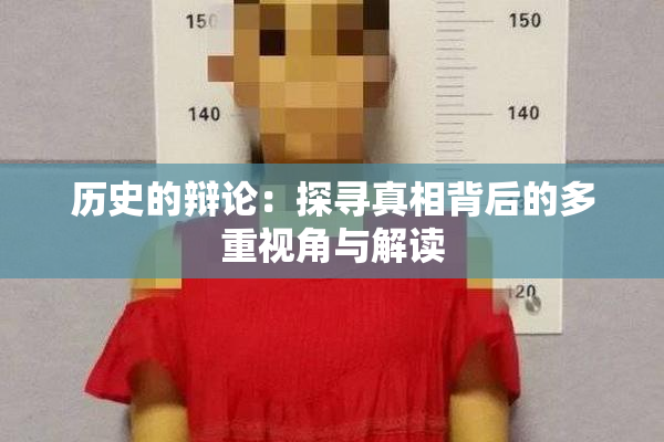 历史的辩论：探寻真相背后的多重视角与解读