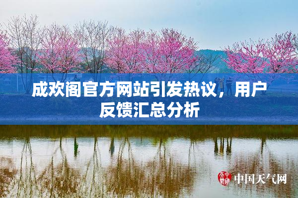 成欢阁官方网站引发热议，用户反馈汇总分析