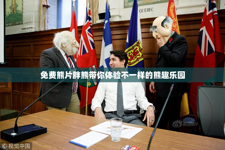 免费熊片胖熊带你体验不一样的熊趣乐园