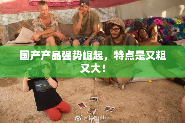 国产产品强势崛起，特点是又粗又大！