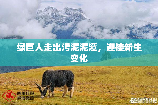 绿巨人走出污泥泥潭，迎接新生变化