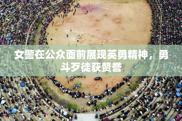 女警在公众面前展现英勇精神，勇斗歹徒获赞誉
