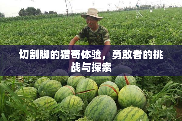 切割脚的猎奇体验，勇敢者的挑战与探索