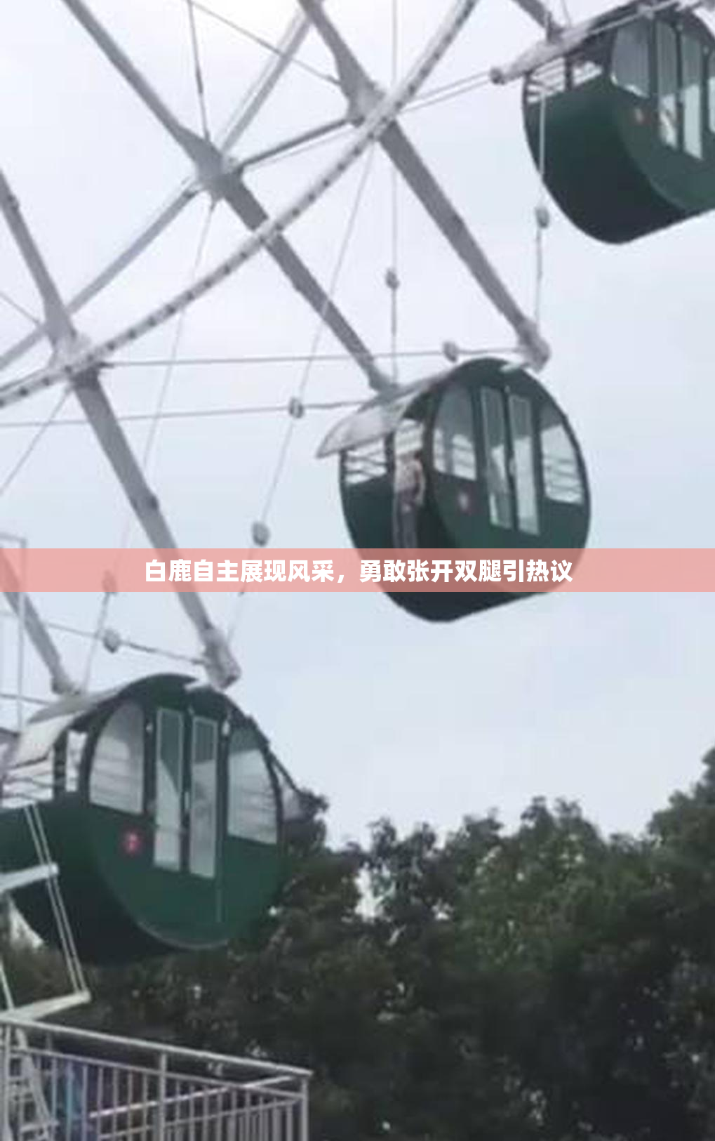 白鹿自主展现风采，勇敢张开双腿引热议