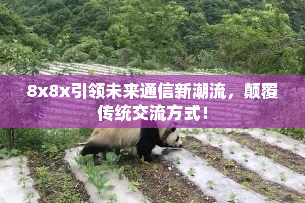 8x8x引领未来通信新潮流，颠覆传统交流方式！