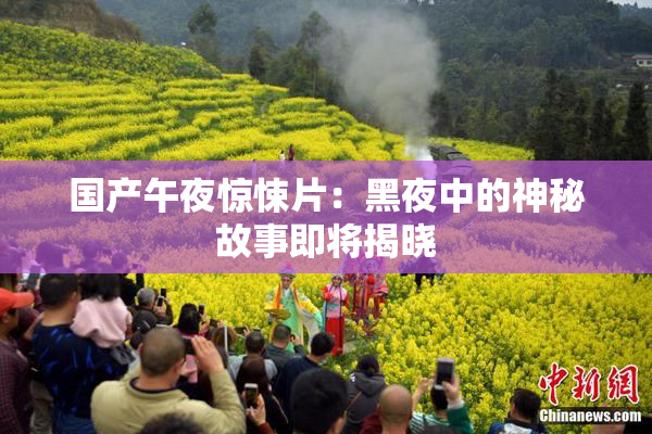 国产午夜惊悚片：黑夜中的神秘故事即将揭晓