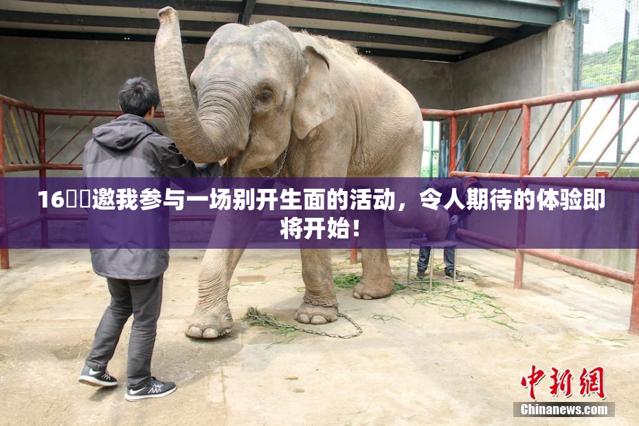 16妺妺邀我参与一场别开生面的活动，令人期待的体验即将开始！