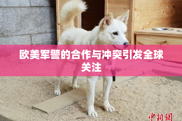 欧美军警的合作与冲突引发全球关注