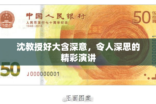 沈教授好大含深意，令人深思的精彩演讲