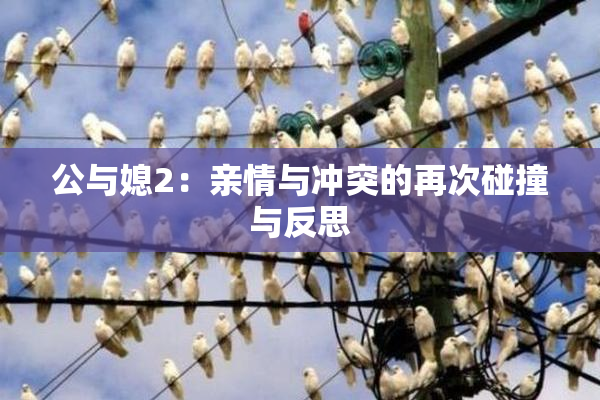 公与媳2：亲情与冲突的再次碰撞与反思