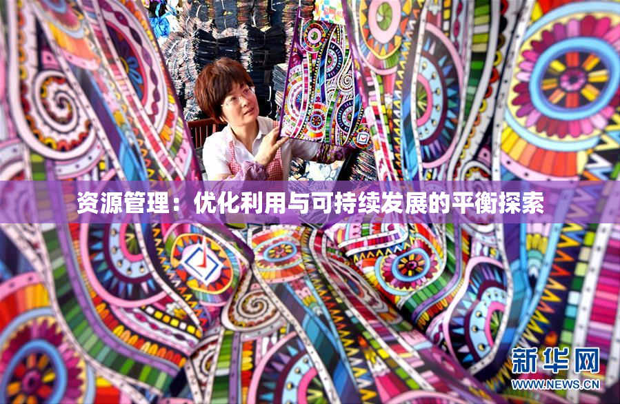 资源管理：优化利用与可持续发展的平衡探索