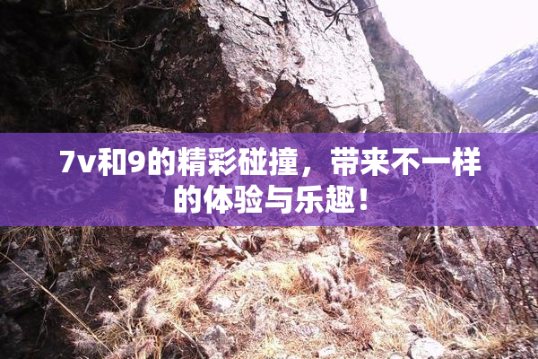7v和9的精彩碰撞，带来不一样的体验与乐趣！