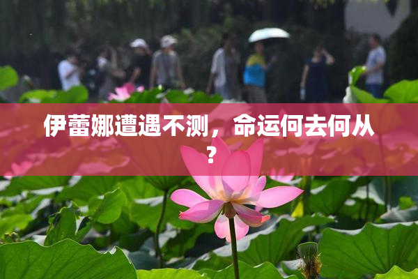 伊蕾娜遭遇不测，命运何去何从？