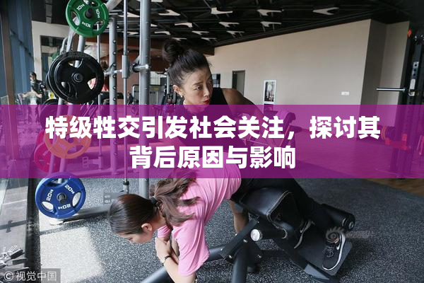 特级牲交引发社会关注，探讨其背后原因与影响
