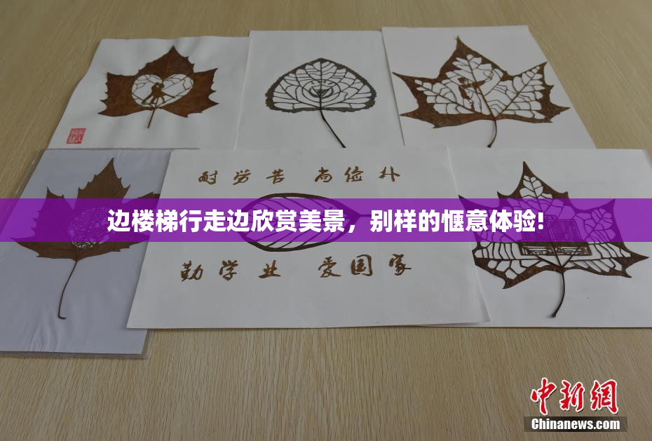 边楼梯行走边欣赏美景，别样的惬意体验!