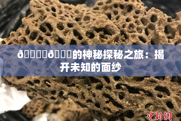🔞‌🍌的神秘探秘之旅：揭开未知的面纱