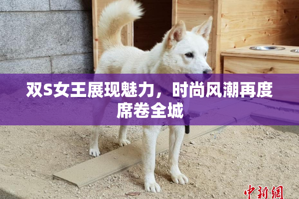 双S女王展现魅力，时尚风潮再度席卷全城
