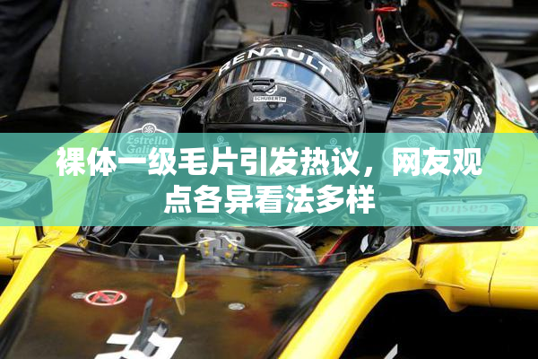 裸体一级毛片引发热议，网友观点各异看法多样