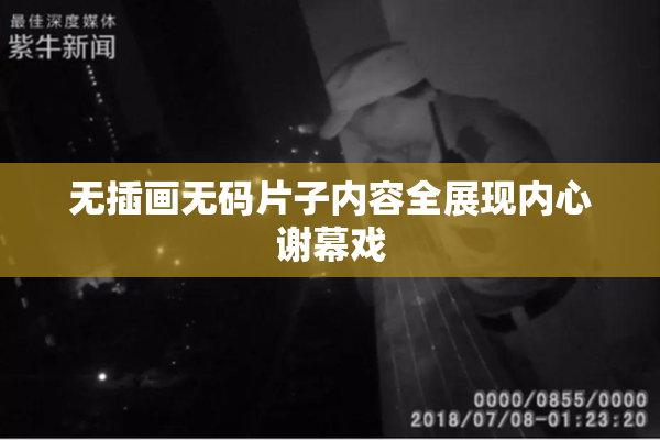 无插画无码片子内容全展现内心谢幕戏