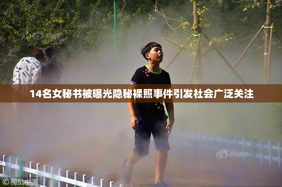 14名女秘书被曝光隐秘裸照事件引发社会广泛关注