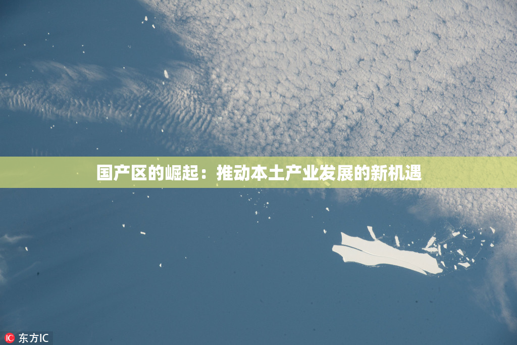 国产区的崛起：推动本土产业发展的新机遇