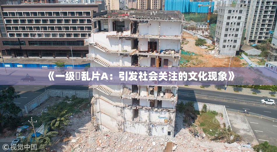 《一级婬乱片A：引发社会关注的文化现象》